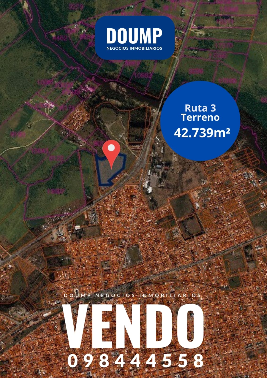 Sobre Ruta 3, son 4, 5 hectáreas para todo proyecto