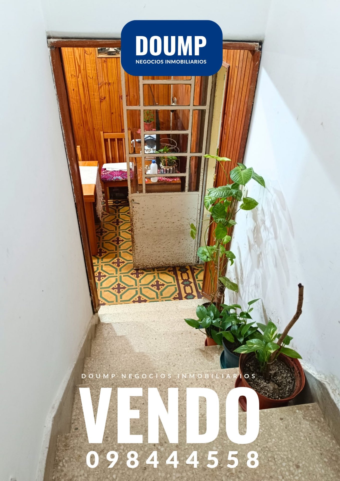 Malvin, casa 5 dormitorios + 4 apartamentos. - Imagen 24