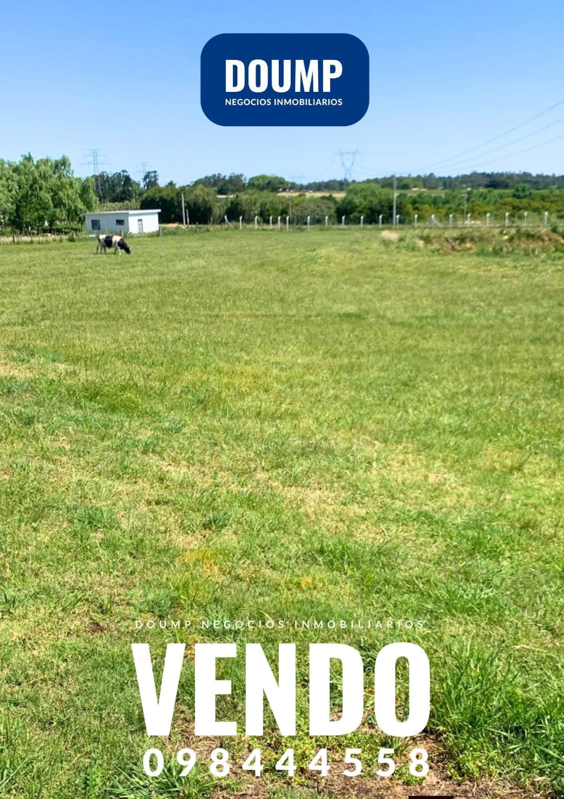 Hipódromo de las piedras, en venta